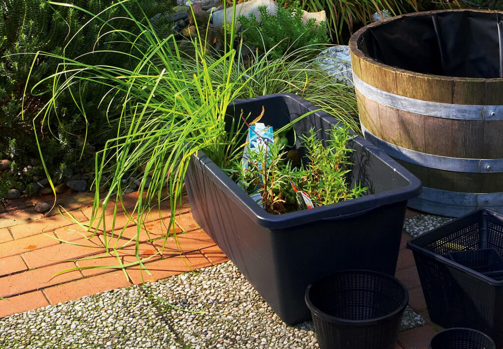 Create your own mini-pond in a wooden barrel - with our easy to follow instructions