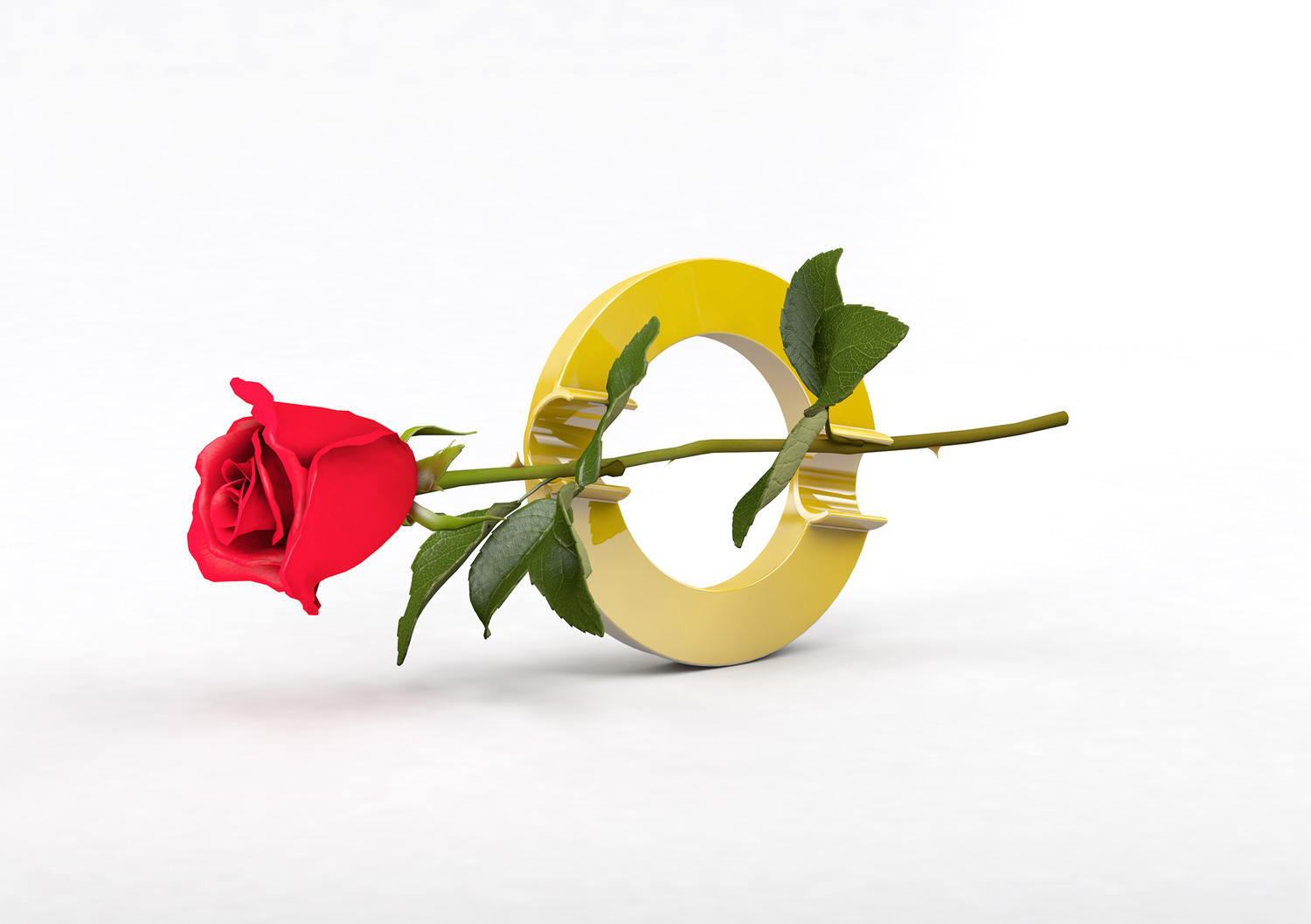Versatile: the DAHLE CIRCLE MEGA magnet can also be used as a vase